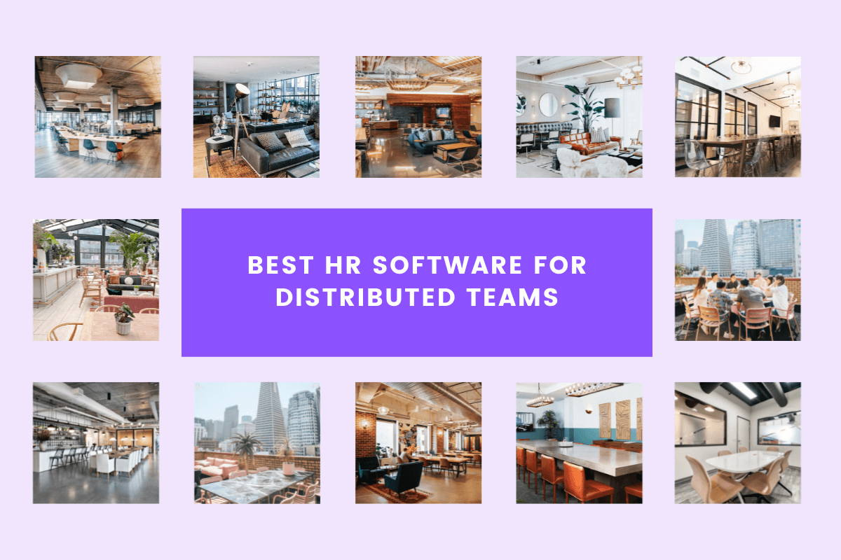  How to Choose the Best HR Software for Your Business